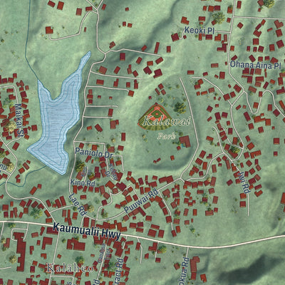 Close-up of the map of Kalaheo, Hawaii print showing street and building detail