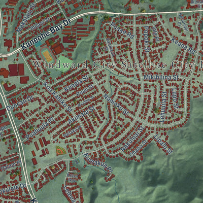 Close-up of the map of Kaneohe, Hawaii print showing street and building detail