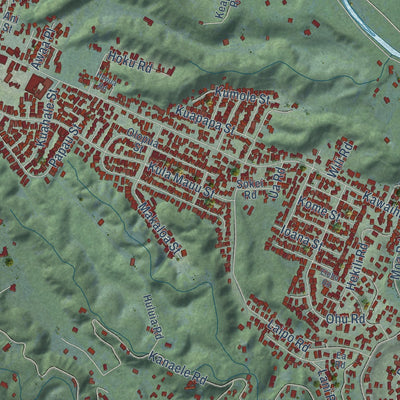Second close-up of the map of Kapaa, Hawaii print showing more streets and buildings