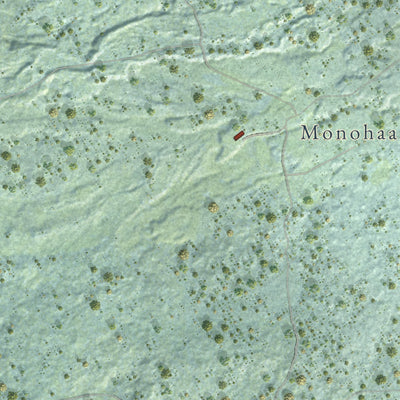 Close-up of the map of Kealakekua, Hawaii print showing street and building detail