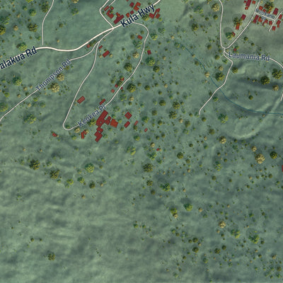 Close-up of the map of Keokea, Hawaii print showing street and building detail