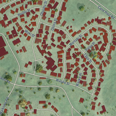 Close-up of the map of Koloa, Hawaii print showing street and building detail