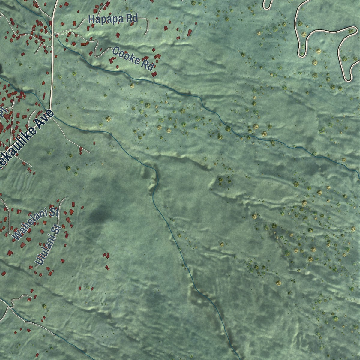 Second close-up of the map of Kula, Hawaii print showing more streets and buildings