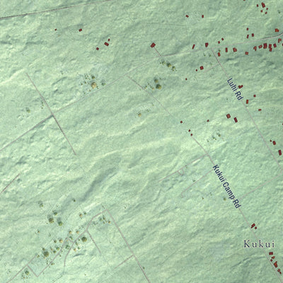 Close-up of the map of Kurtistown, Hawaii print showing street and building detail