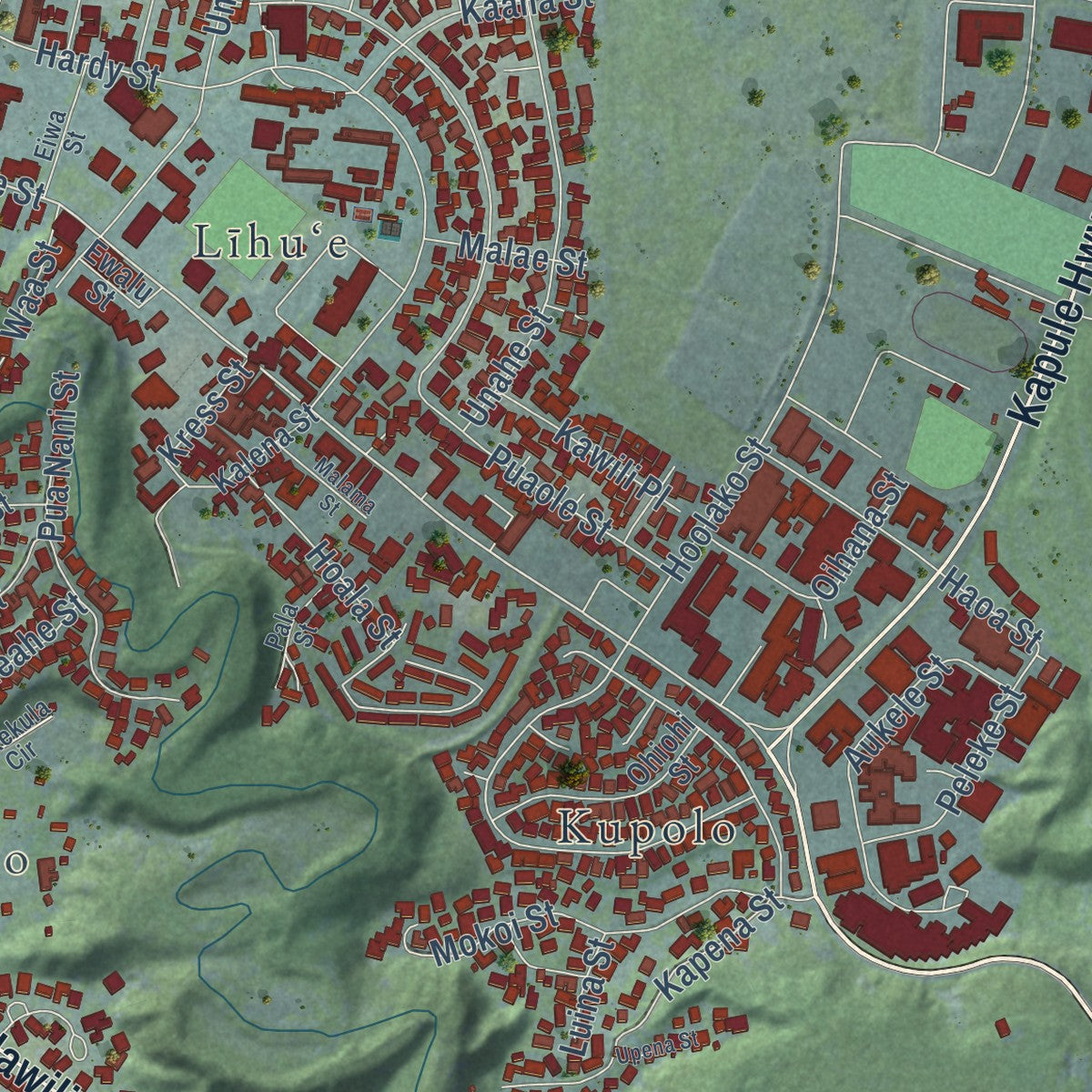 Close-up of the map of Lihue, Hawaii print showing street and building detail