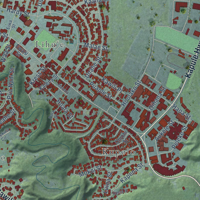 Close-up of the map of Lihue, Hawaii print showing street and building detail