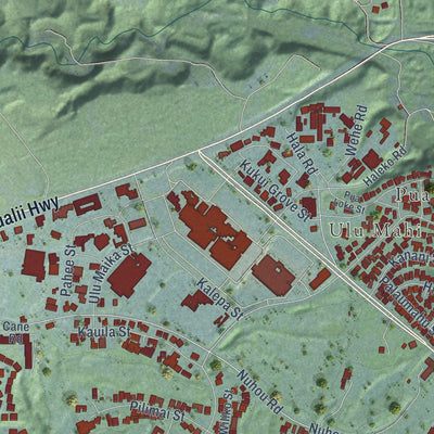 Second close-up of the map of Lihue, Hawaii print showing more streets and buildings