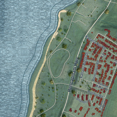 Close-up of the map of Mahinahina, Hawaii print showing street and building detail