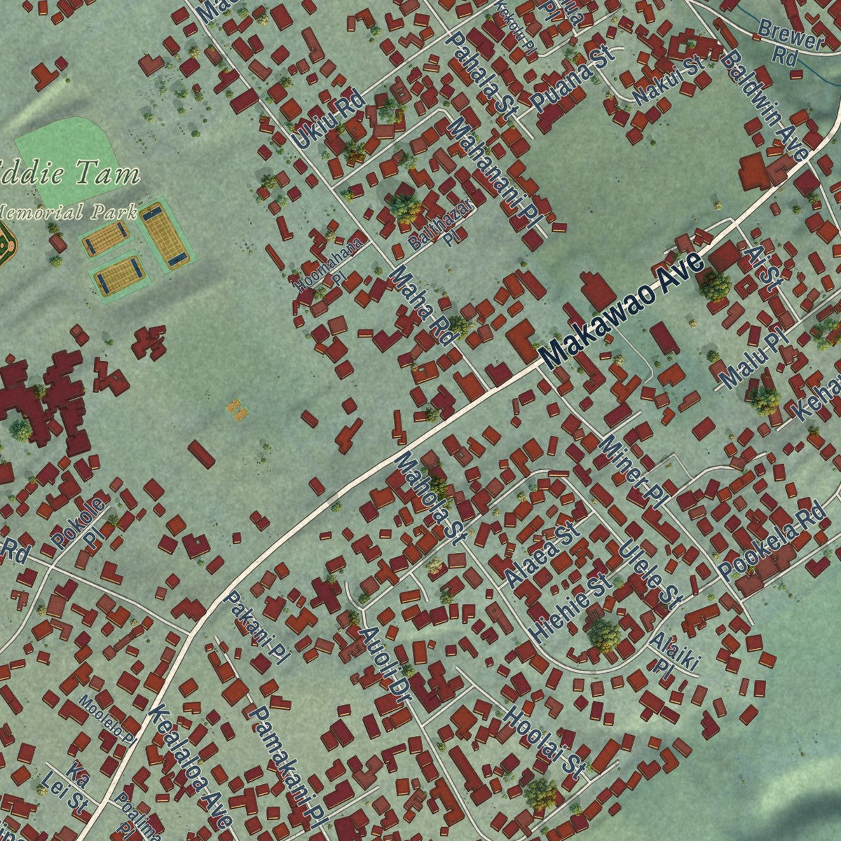 Close-up of the map of Makawao, Hawaii print showing street and building detail