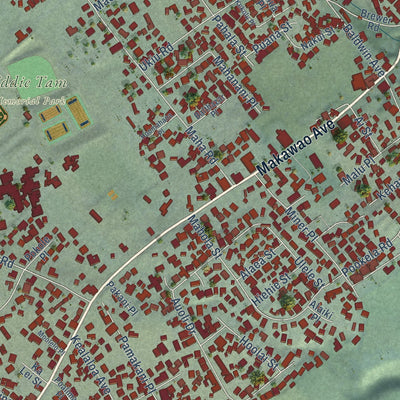 Close-up of the map of Makawao, Hawaii print showing street and building detail