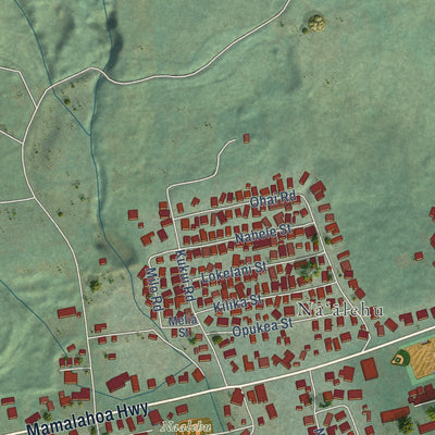 Close-up of the map of Naalehu, Hawaii print showing street and building detail