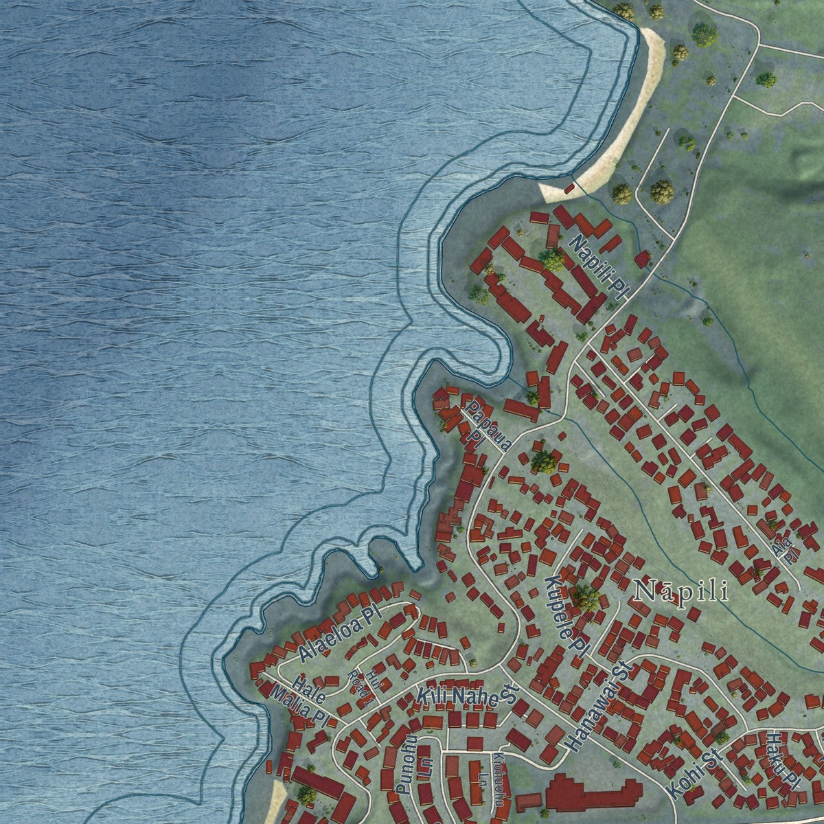Close-up of the map of Napili-Honokowai, Hawaii print showing street and building detail