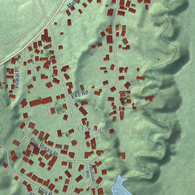 Close-up of the map of Omao, Hawaii print showing street and building detail