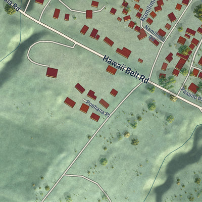 Close-up of the map of Paauilo, Hawaii print showing street and building detail