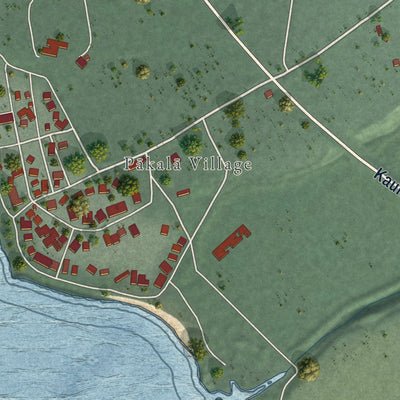 Close-up of the map of Pakala Village, Hawaii print showing street and building detail
