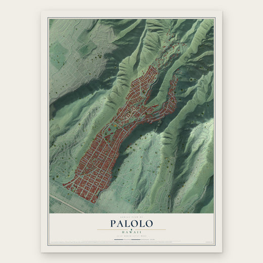 Palolo, Hawaii map print, the full design