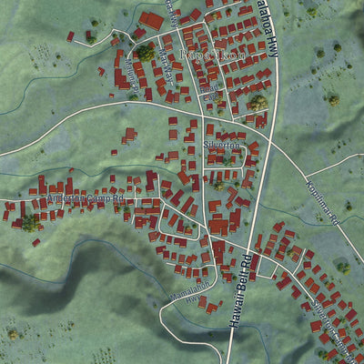 Close-up of the map of Papaikou, Hawaii print showing street and building detail