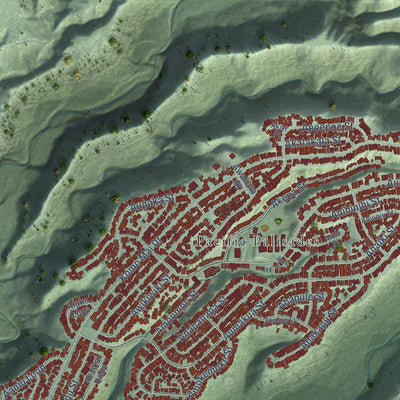 Second close-up of the map of Pearl City, Hawaii print showing more streets and buildings