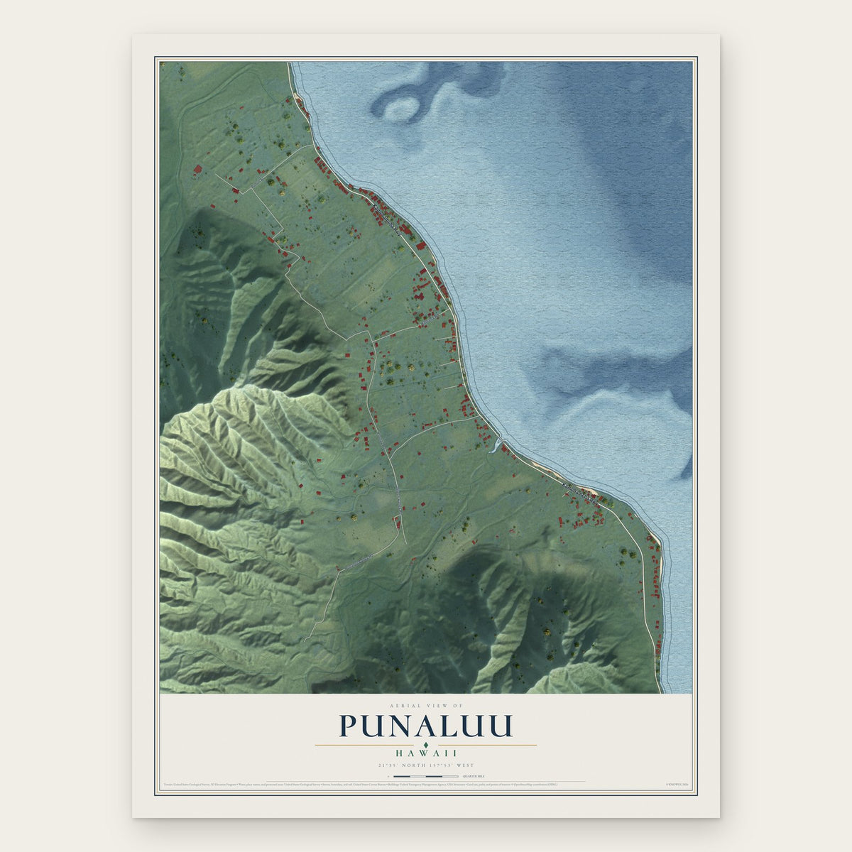 Punaluu, Hawaii map print, the full design