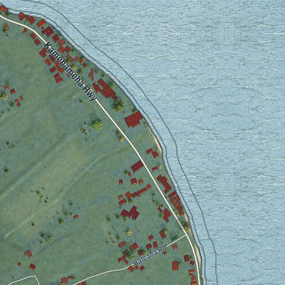 Close-up of the map of Punaluu, Hawaii print showing street and building detail