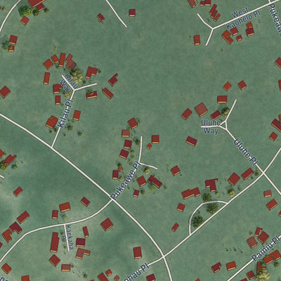 Close-up of the map of Volcano Golf Course, Hawaii print showing street and building detail