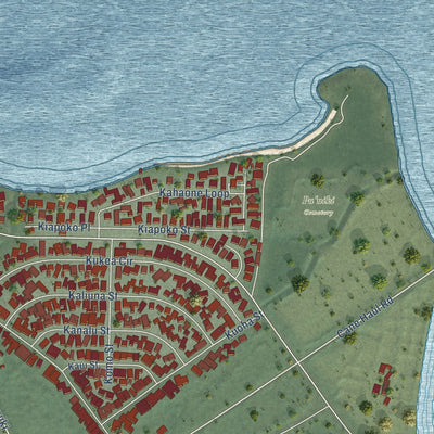 Close-up of the map of Waialua, Hawaii print showing street and building detail