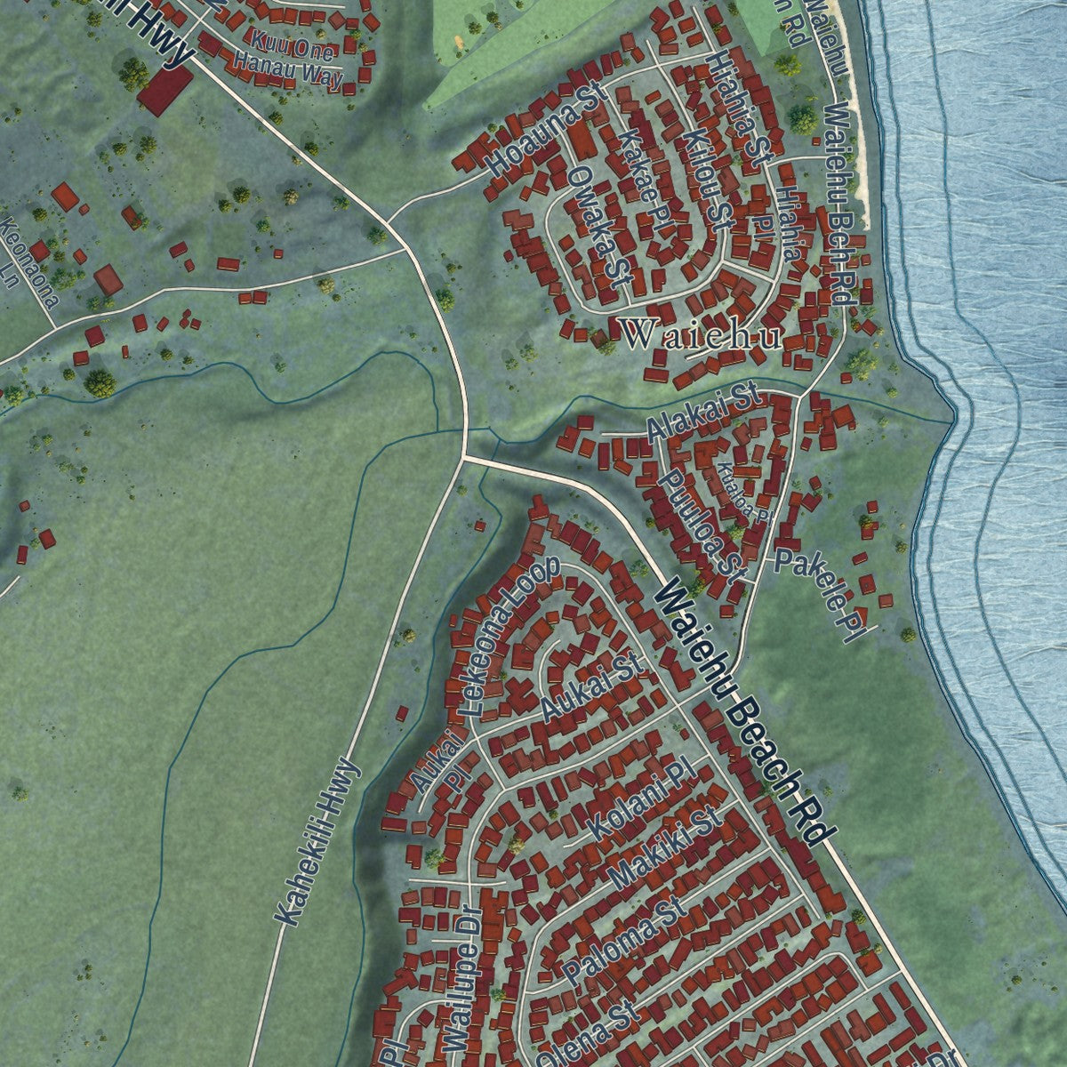 Close-up of the map of Waihee-Waiehu, Hawaii print showing street and building detail