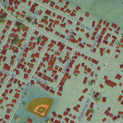 Close-up of the map of Wailua, Hawaii print showing street and building detail