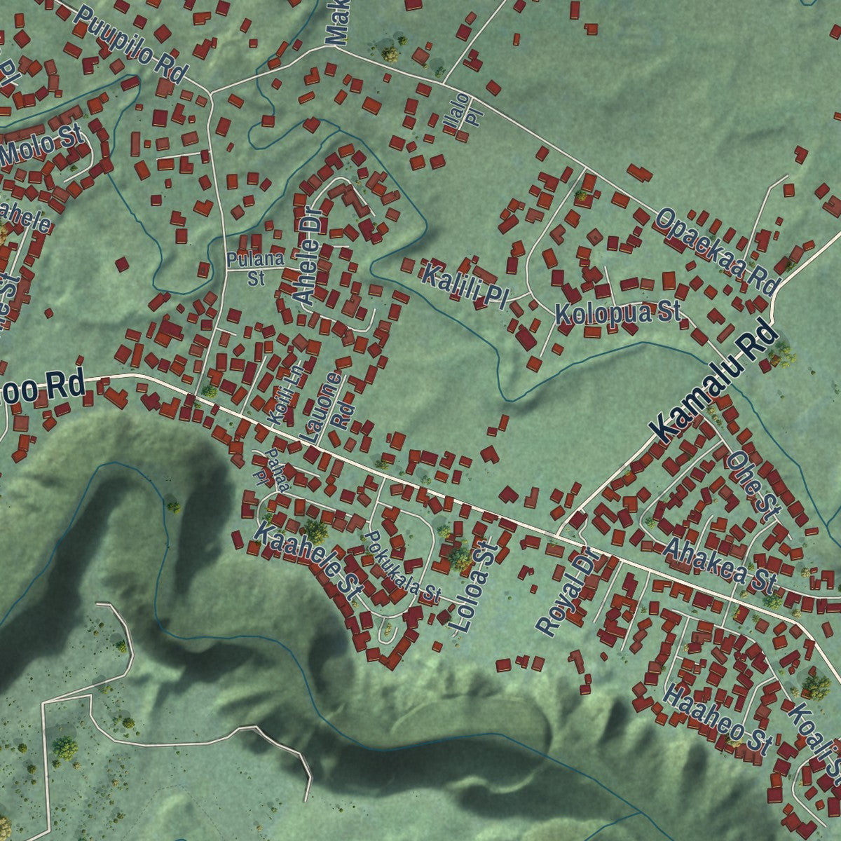 Second close-up of the map of Wailua Homesteads, Hawaii print showing more streets and buildings