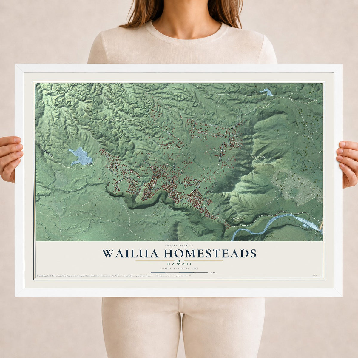 Map of Wailua Homesteads, Hawaii, 18 x 24 inch print in a white wood frame