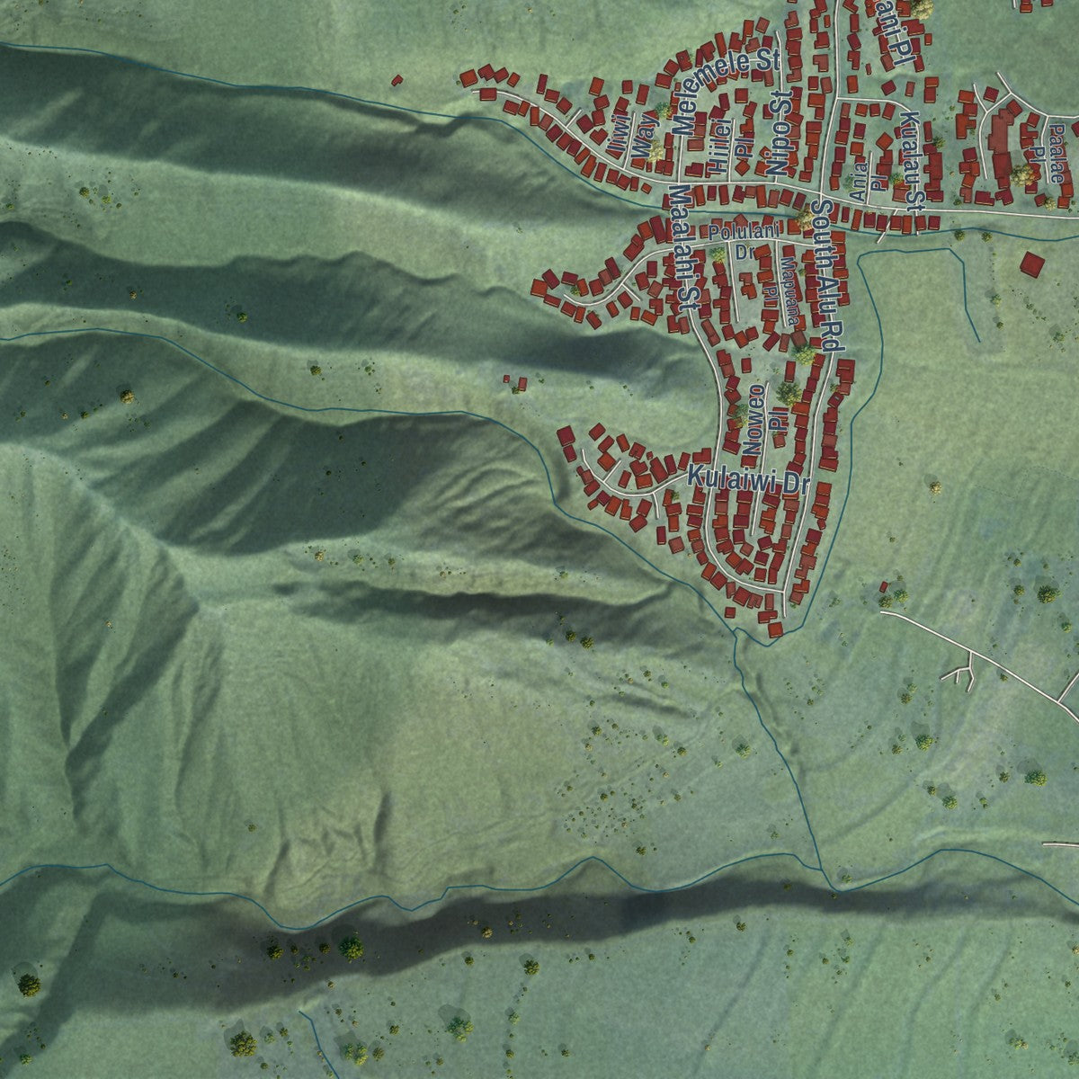 Second close-up of the map of Wailuku, Hawaii print showing more streets and buildings