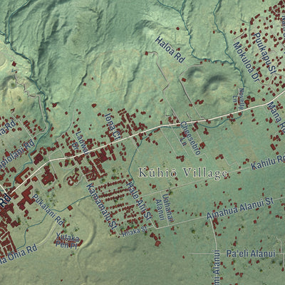 Close-up of the map of Waimea, Hawaii print showing street and building detail