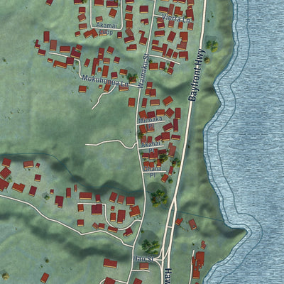 Close-up of the map of Wainaku, Hawaii print showing street and building detail