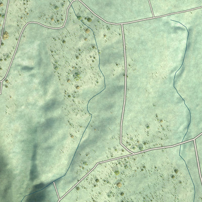 Close-up of the map of Waiohinu, Hawaii print showing street and building detail