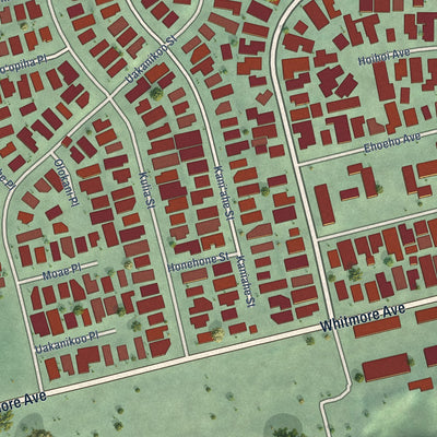 Close-up of the map of Whitmore Village, Hawaii print showing street and building detail