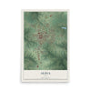 Map of Albia, Iowa, 12 x 18 inch unframed archival matte print