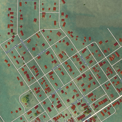 Close-up of the map of Anita, Iowa print showing street and building detail