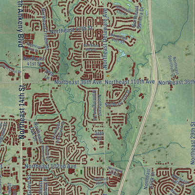Second close-up of the map of Ankeny, Iowa print showing more streets and buildings