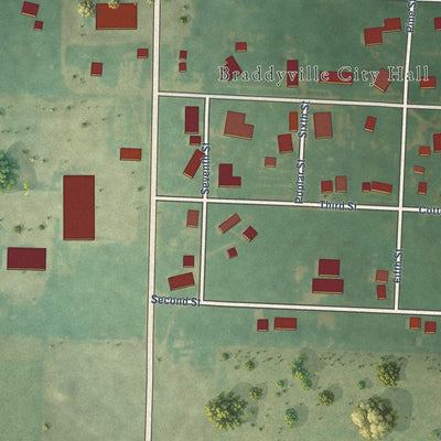 Close-up of the map of Braddyville, Iowa print showing street and building detail