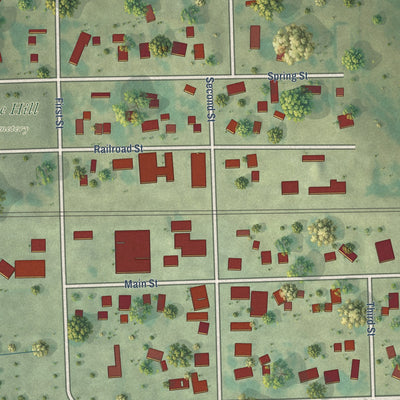 Close-up of the map of Calamus, Iowa print showing street and building detail