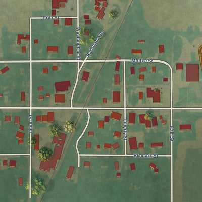 Close-up of the map of Carpenter, Iowa print showing street and building detail