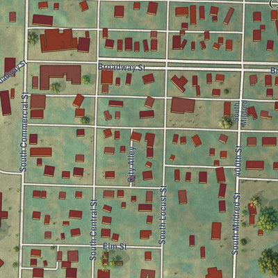 Close-up of the map of Carson, Iowa print showing street and building detail