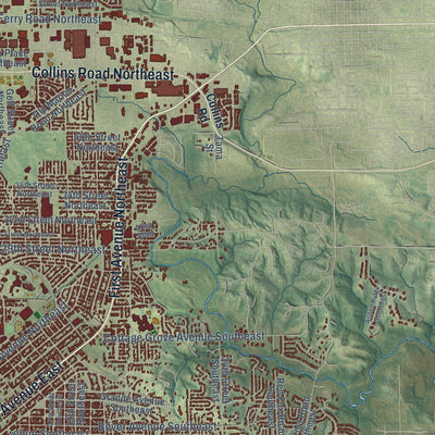 Second close-up of the map of Cedar Rapids, Iowa print showing more streets and buildings