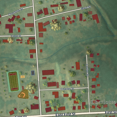 Close-up of the map of Charlotte, Iowa print showing street and building detail
