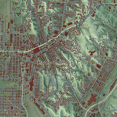 Close-up of the map of Council Bluffs, Iowa print showing street and building detail