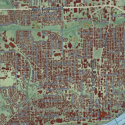 Close-up of the map of Davenport, Iowa print showing street and building detail