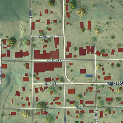 Close-up of the map of Delhi, Iowa print showing street and building detail