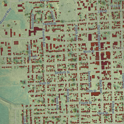 Close-up of the map of DeWitt, Iowa print showing street and building detail