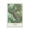 Map of Elkader, Iowa, 12 x 18 inch unframed archival matte print