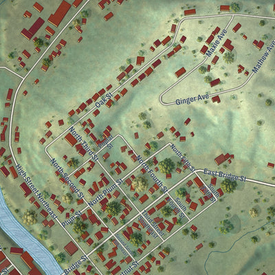 Close-up of the map of Elkader, Iowa print showing street and building detail